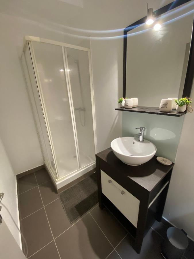 Le Patio St Etienne - Cite Episcopale - Parking Inclus Apartment Алби Екстериор снимка