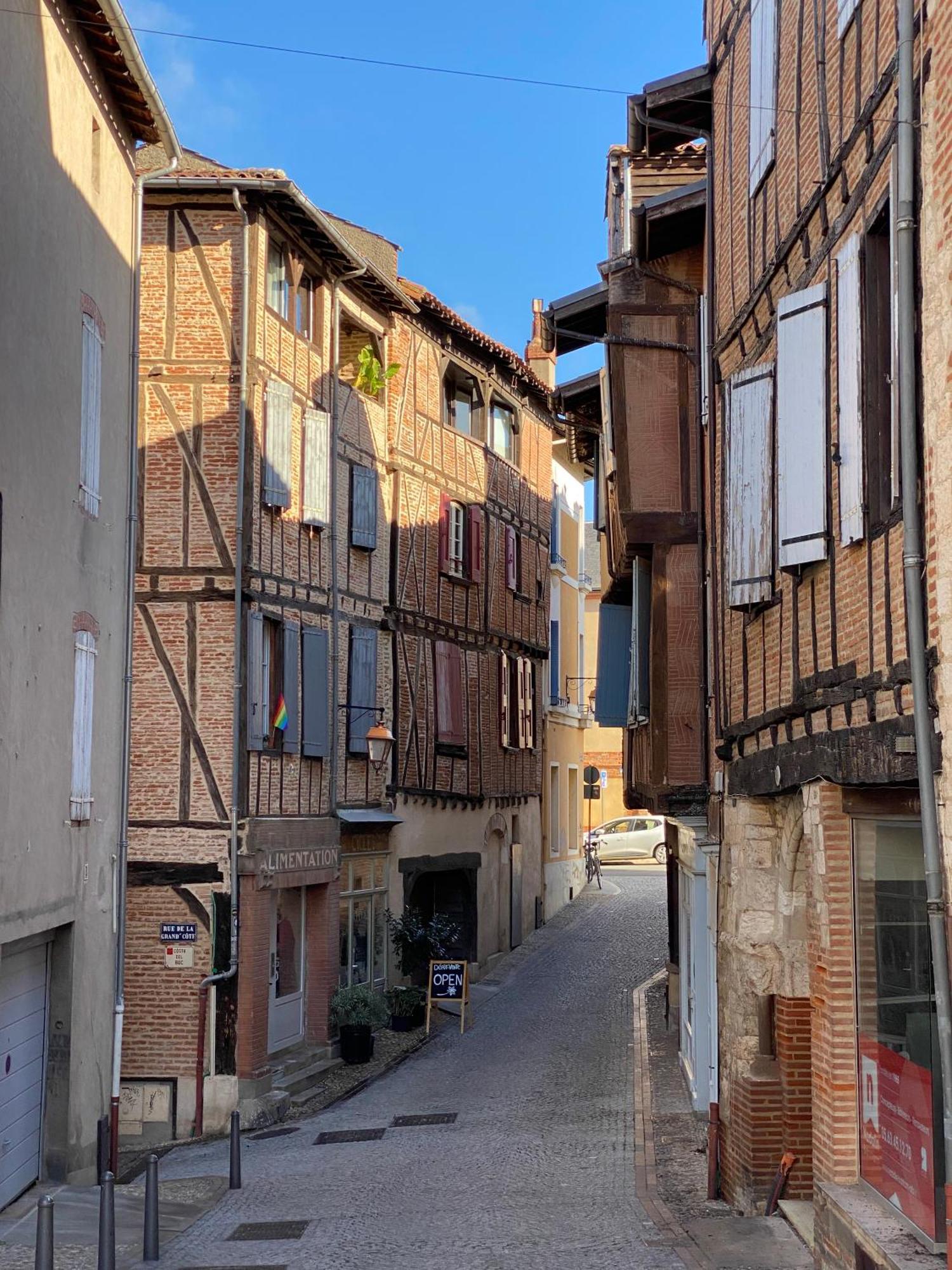 Le Patio St Etienne - Cite Episcopale - Parking Inclus Apartment Алби Екстериор снимка