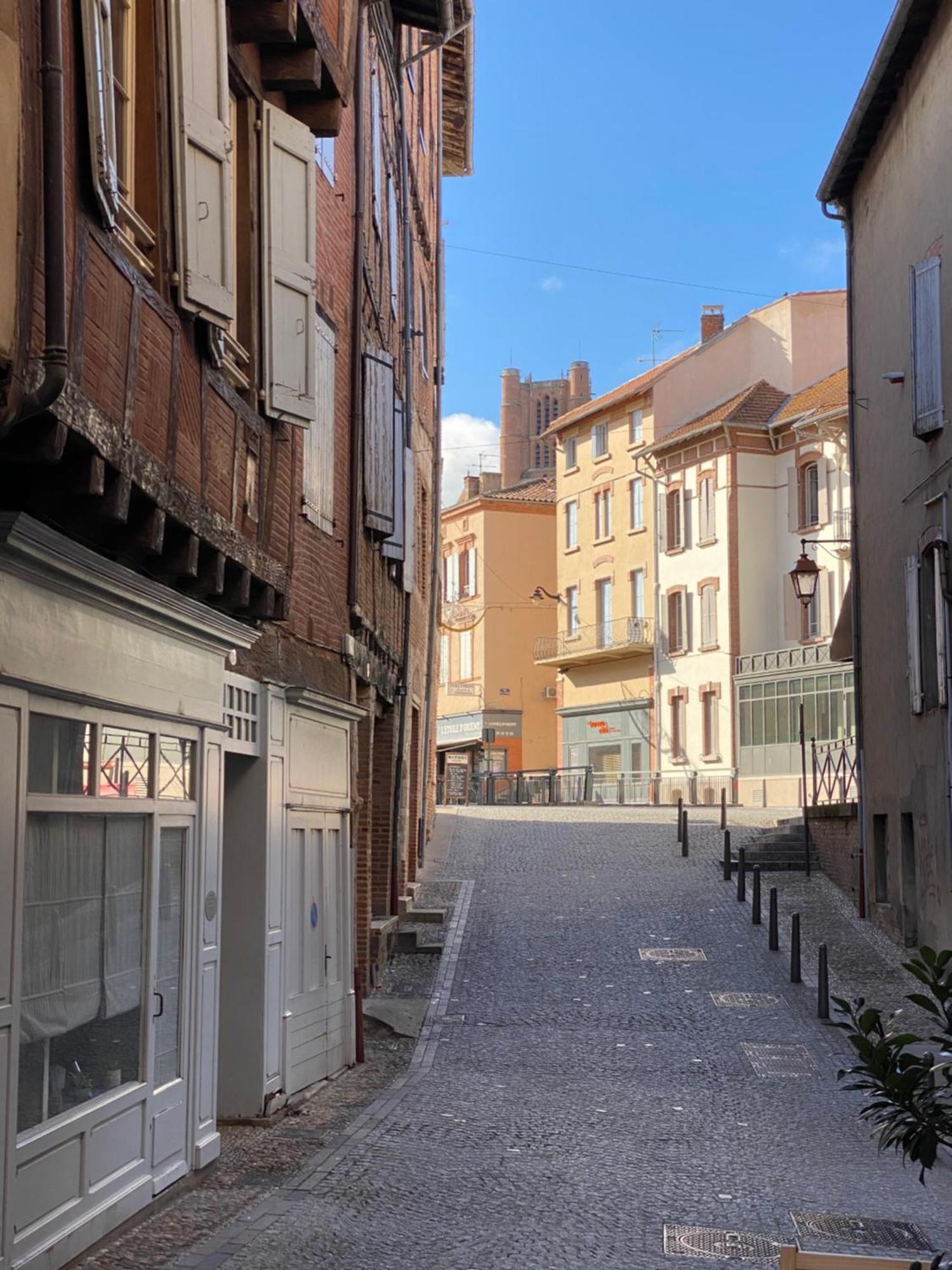Le Patio St Etienne - Cite Episcopale - Parking Inclus Apartment Алби Екстериор снимка